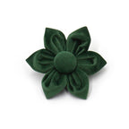 Peacock Green Velvet