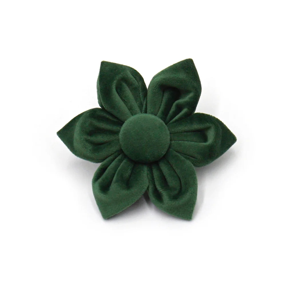Peacock Green Velvet