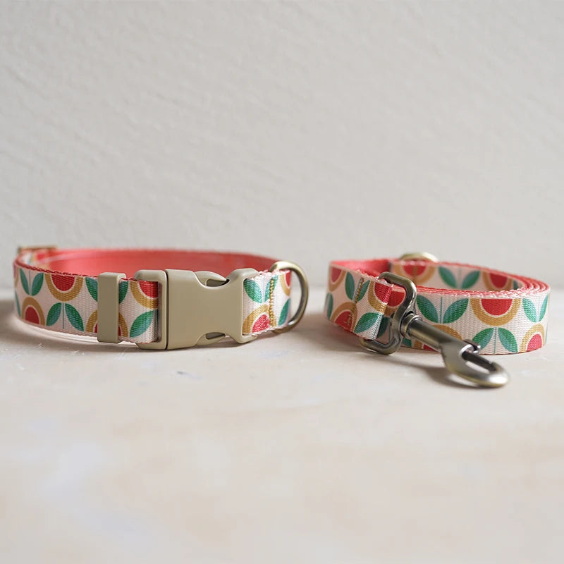 Collar + Leash Sets