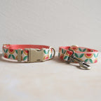 Collar + Leash Sets