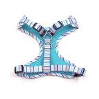 Coastal Stripe