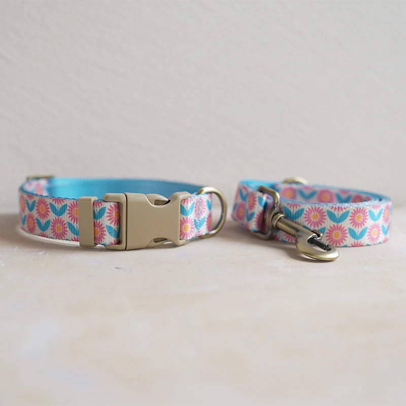Collar + Leash Sets