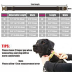 Personalized Dog Collar Customized Pet Collars Free Engraving ID Nameplate Tag Pet Accessory Mermaid Puppy Collars Leash